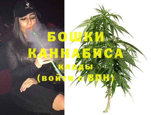прущая мука Няндома
