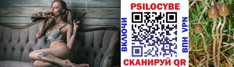 даркнет сайт omg маркетплейс Псилоцибиновые грибы Cubensis Нелидово