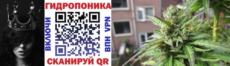 Шишки марихуана SATIVA & INDICA  блэк спрут ТОР  Нелидово 